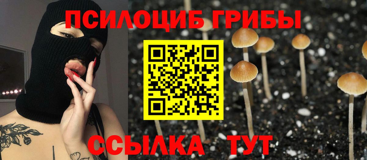 Шатура  Галлюциногенные грибы GOLDEN TEACHER  Вход с VPN 
